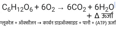 वायवीय श्वसन या ऑक्सीश्वसन (Aerobic Respiration)