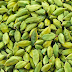 The usefulness of cardamom