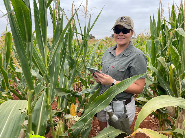 Women in Agriculture: Alicia Pretorius - research associate in Trait Integration (maize), Corteva Agriscience