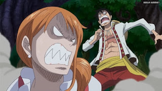 One Piece 第796話 魂の国 マムの恐るべき能力 ネタバレ