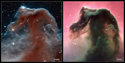 Hubble see the Horsehead nebula in infrared (left) and visible (right)