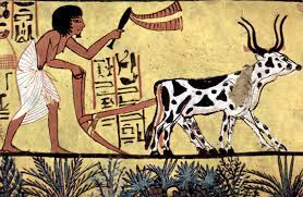 Pastoral and Farming Communities: Understanding the Dynamics of Ancient Agricultural Societies