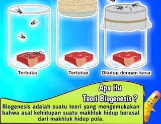teori-biogenesis
