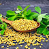Fenugreek ملخوځې یا ملخوزه 