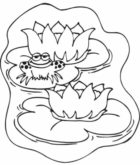 Lily Flower Coloring Pages PDF to Printable