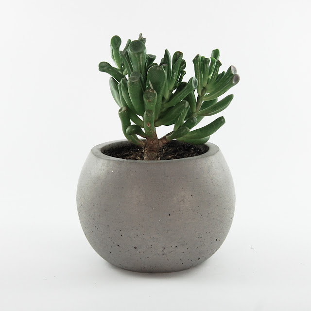 Concrete Pot For Succulents