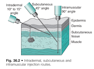 Parenteral Routes