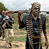 Terrorists abduct wives, four daughters of Kaduna community leader