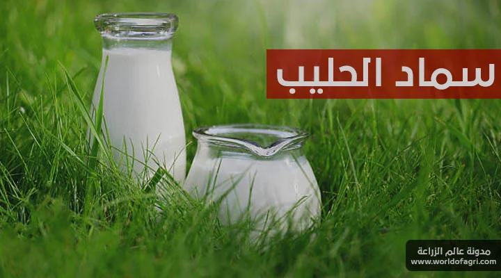 كيفية صناعة سماد الحليب في المنزل - عالم الزراعة