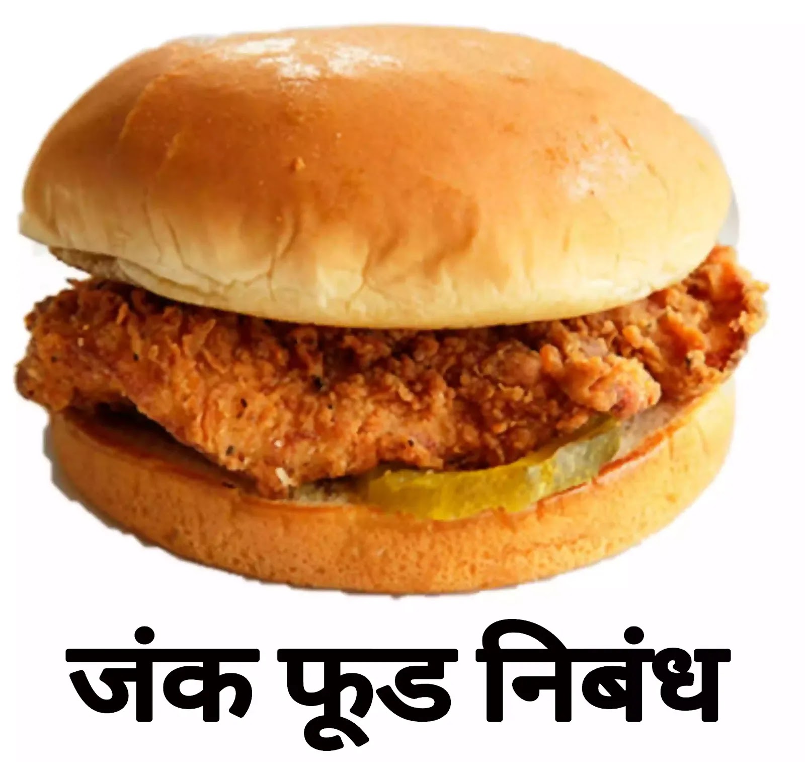 essay on junk food marathi