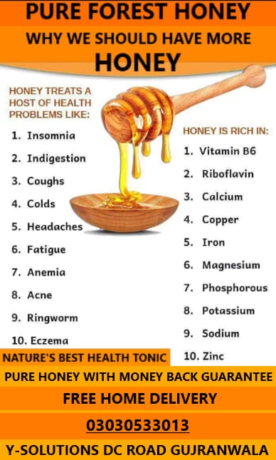 Online Work From Home Without Investment - Pure Honey in Pakistan - Original Honey in Pakistan - Honey Bee