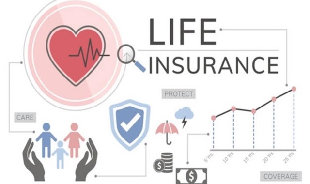What are the pros and cons of Term Life Insurance?
