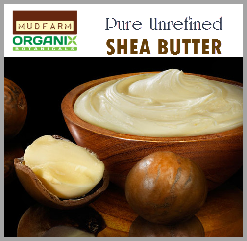 SHEA BUTTER BODY LOTION