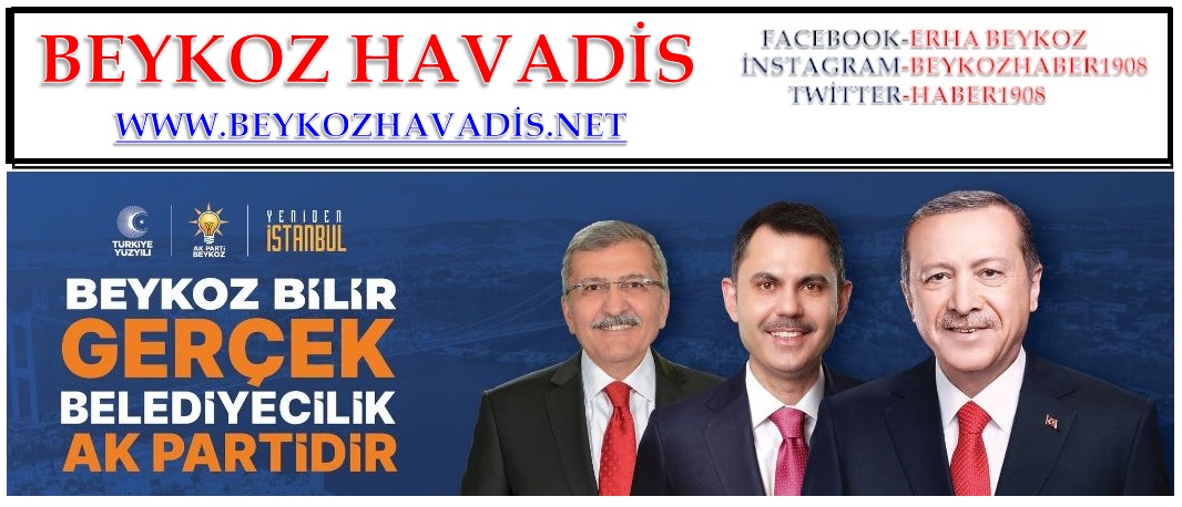 BEYKOZ HAVADİS