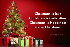 Best Chirstmas Shayari image