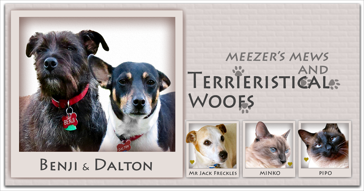 Meezer's Mews & Terrieristical Woofs