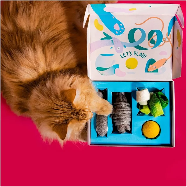 Cheap Cat Toy Subscription Box UK