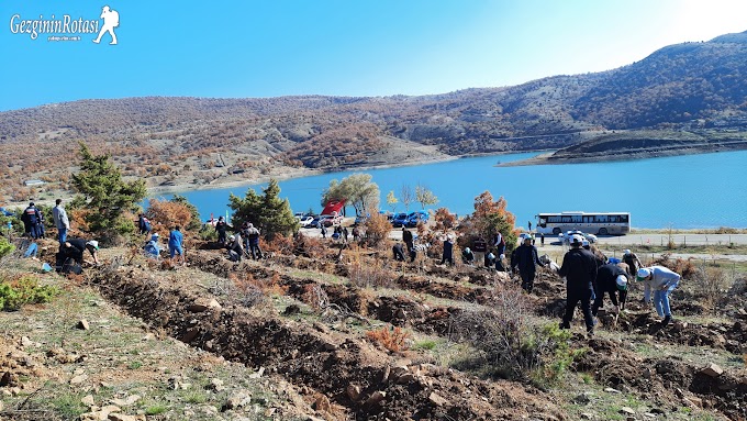 ​Bozkır’da 6 Bin fidan toprakla buluştu