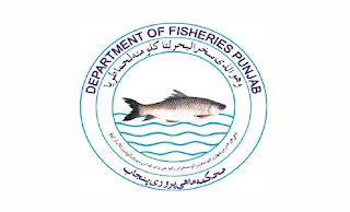 Fisheries Department Punjab Jobs 2021 in Pakistan