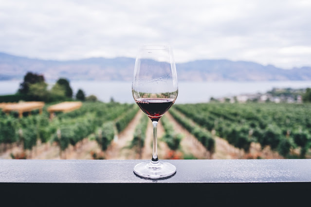 Glass of red wine with vineyard in background:Photo by Kym Ellis on Unsplash