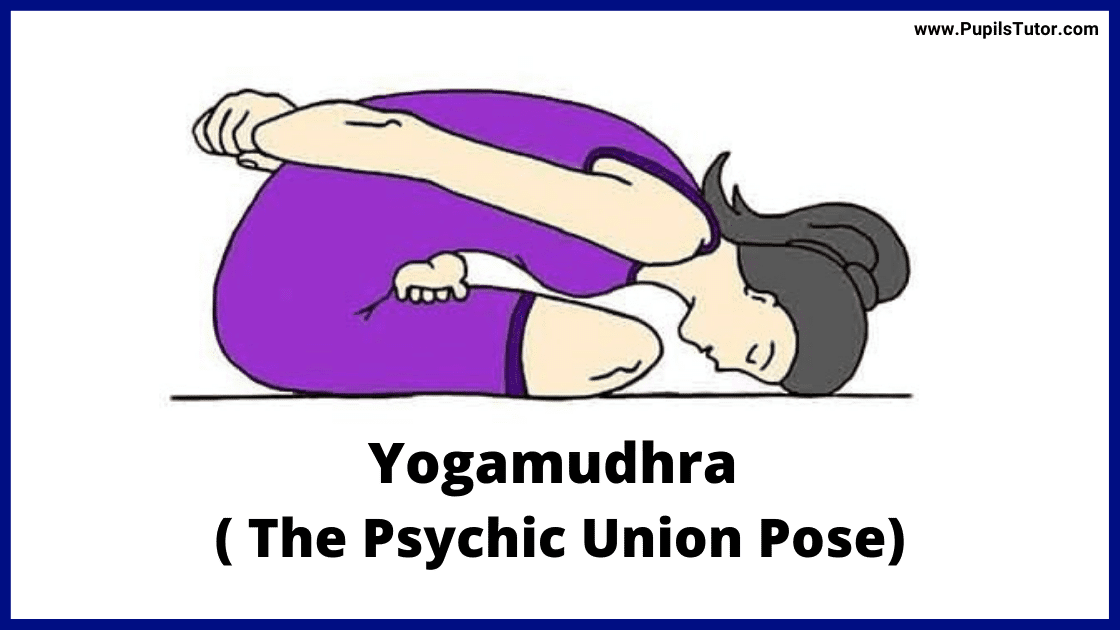 Yogamudhra ( The Psychic Union Pose)