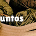 10 Patrones de Puntos Tupidos a Crochet | Ebook No. 24 