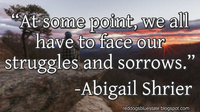 “At some point, we all have to face our struggles and sorrows.” -Abigail Shrier