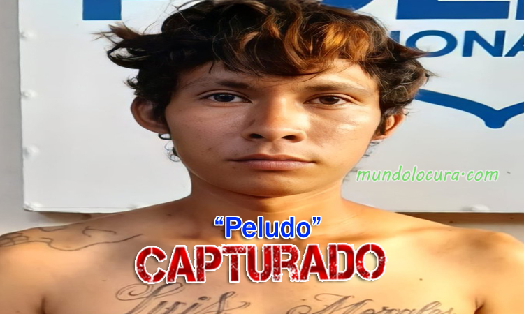 El Salvador: Capturan a pandillero de la 18R alias "Peludo" pretendía huir de la Justicia escondiéndose en Ciudad Delgado