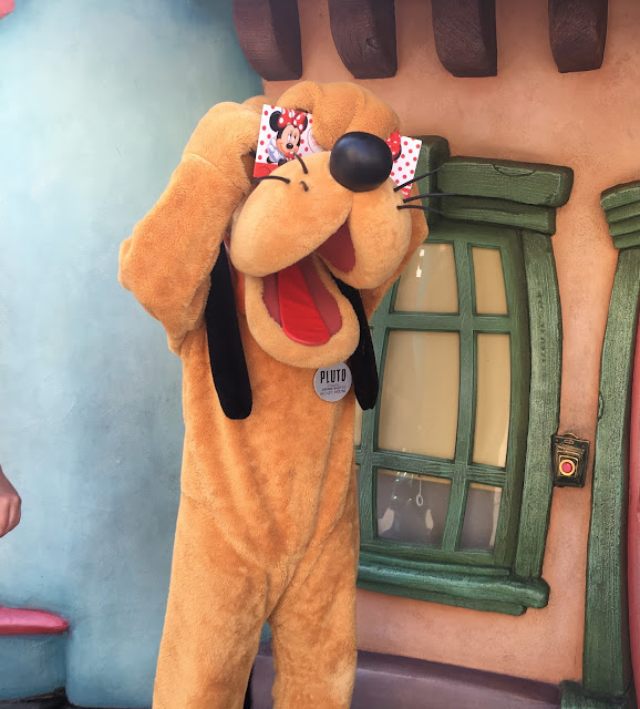 Pluto Signing an Autograph In Mickey's Toontown Disneyland