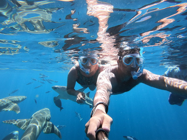 nadando com tubarões nas Maldivas