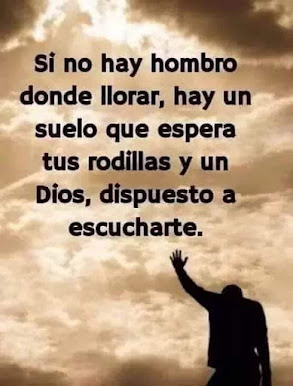 FRASE DE HOY PARA MEDITAR