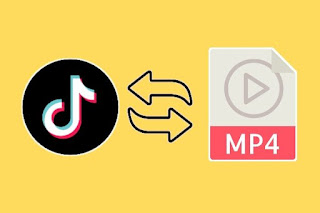 TikTok to Mp4 Converter Video: Begini Agar Hasil Download Tidak Ada Watermark