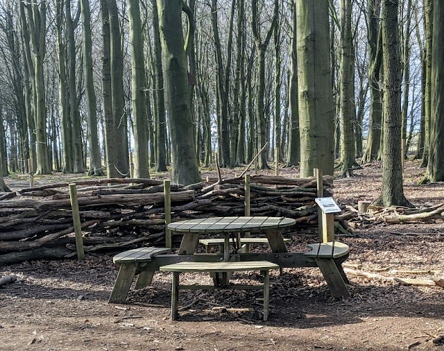 Is Northumberlandia Dog-Friendly?  - woodland trail