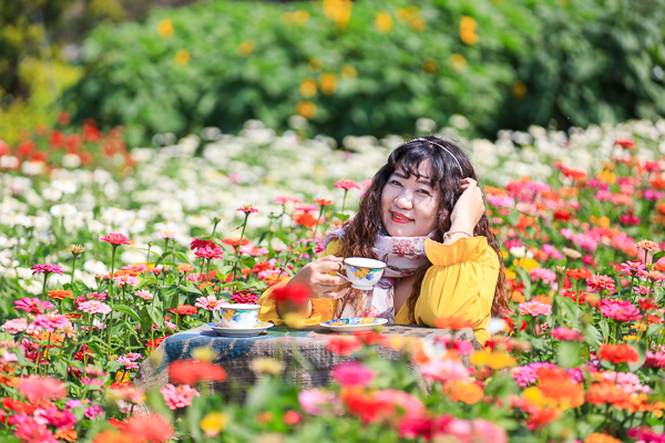 彰化社頭「雙鐵花田」花海搭配火車好好拍，入園送向日葵種籽