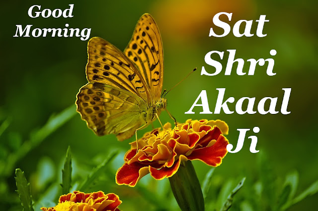 Sat Shri Akaal Ji  Good Morning