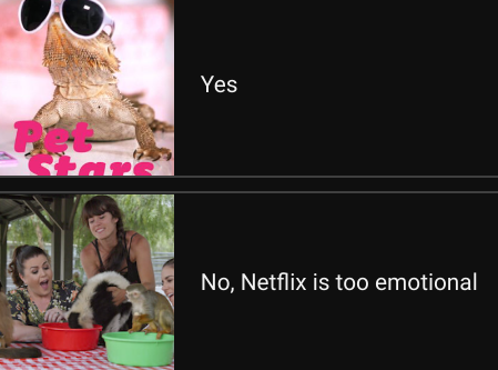 Are you watching Pet Stars on Netflix this Dress Up Your Pet Day?