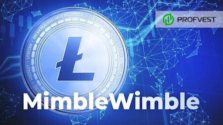 Новости рынка криптовалют за 26.01.22 – 02.02.22. Litecoin запускает обновление Mimblewimble