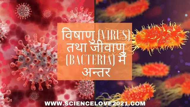विषाणु (Virus) तथा जीवाणु (Bacteria) में अन्तर|hindi