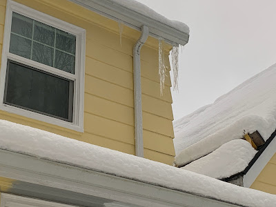 icicles in the snow