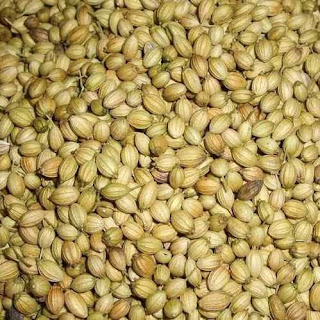 Coriander seeds arrival in the mandi