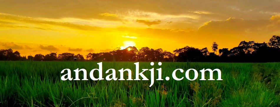 andankji.com