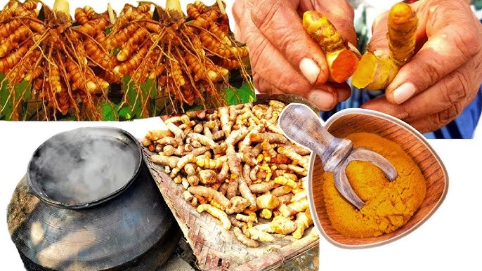 चित्र