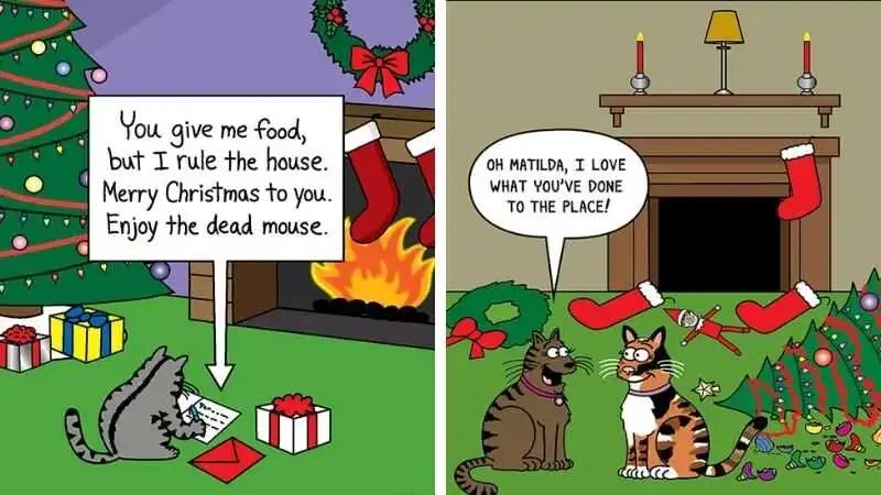 Hilarious Cat Comics To Brighten Up Your Christmas Day