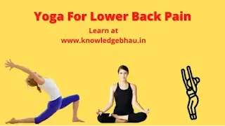 Yoga Poses for Lower Back Pain and Hips