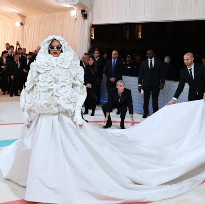 Met Gala 2023: Looks From The Red Carpet
