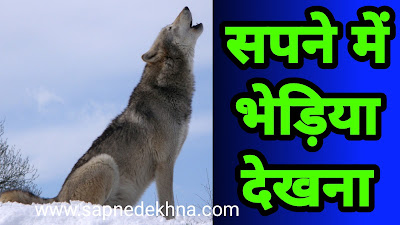 सपने में भेड़िया देखना - Sapne Me Bhedia Dekhna