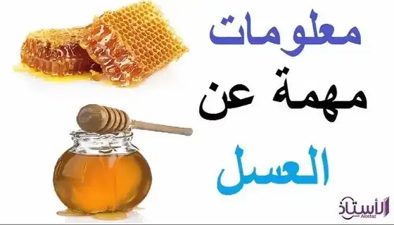 A-study-confirms-that-Australian-honey-contains-natural-toxins