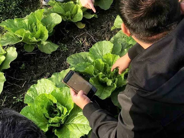 嘉大與二林青農產官學合作 雲精準農業協助農民提升收益