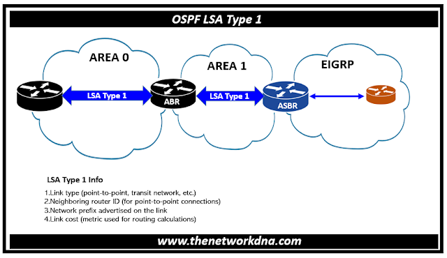OSPF LSA Type 1 (Router LSA)