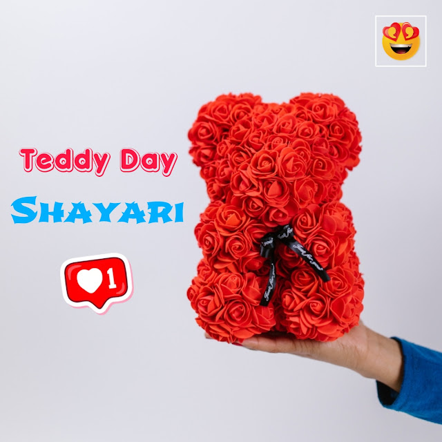 Teddy Day Shayari